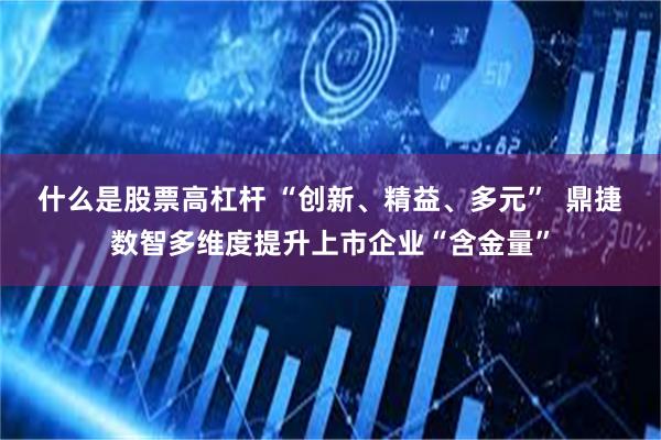 什么是股票高杠杆 “创新、精益、多元”  鼎捷数智多维度提升上市企业“含金量”